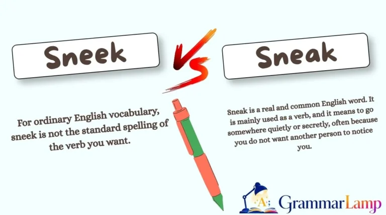 Sneek vs Sneak